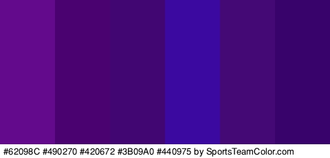 #62098C #490270 #420672 #3B09A0 #440975 #38036B Colors