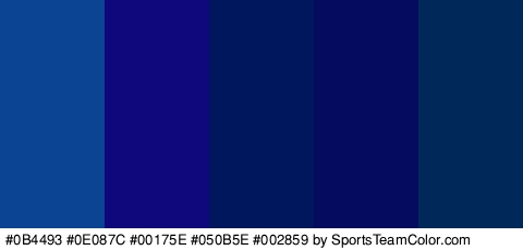 #0B4493 #0E087C #00175E #050B5E #002859 Colors