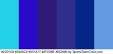 #22D1E8 #290AC9 #301A77 #2F2D8E #052689 #639AE2 Colors