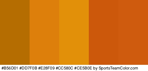 #B56D01 #DD7F0B #E28F09 #CC580C #CE5B0E Colors