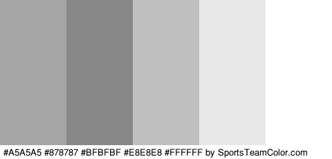 #A5A5A5 #878787 #BFBFBF #E8E8E8 #FFFFFF Colors