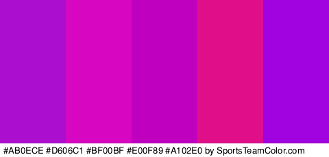 #AB0ECE #D606C1 #BF00BF #E00F89 #A102E0 Colors