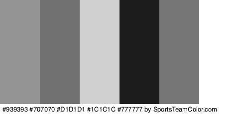 #939393 #707070 #D1D1D1 #1C1C1C #777777 #FFFFFF Colors