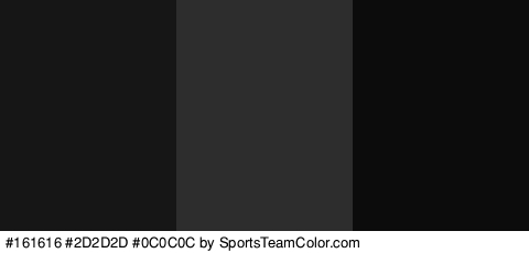 #161616 #2D2D2D #0C0C0C Colors