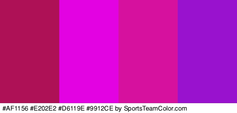 #AF1156 #E202E2 #D6119E #9912CE Colors