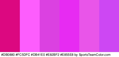 #DB0880 #FC5DFC #DB41E0 #E82BF2 #E855E8 #CD48F2 Colors