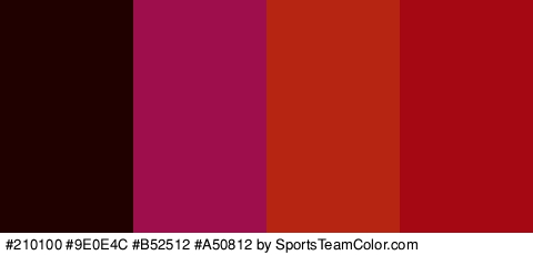 #210100 #9E0E4C #B52512 #A50812 Colors