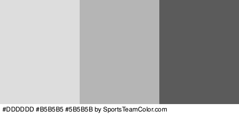 #DDDDDD #B5B5B5 #5B5B5B Colors