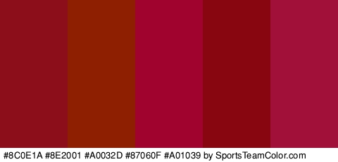 #8C0E1A #8E2001 #A0032D #87060F #A01039 Colors