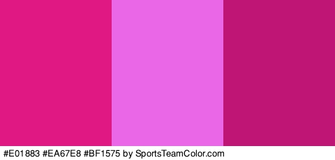 #E01883 #EA67E8 #BF1575 Colors