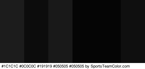 #1C1C1C #0C0C0C #191919 #050505 #050505 #0F0F0F Colors