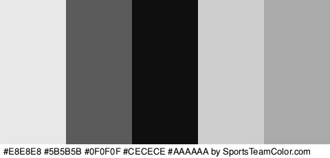 #E8E8E8 #5B5B5B #0F0F0F #CECECE #AAAAAA Colors