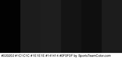 #020202 #1C1C1C #1E1E1E #141414 #0F0F0F #1C1C1C Colors