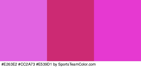 #E263E2 #CC2A73 #E539D1 Colors