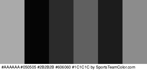 #AAAAAA #050505 #2B2B2B #606060 #1C1C1C #8C8C8C Colors