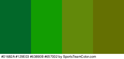 #01682A #129E03 #63890B #657002 Colors