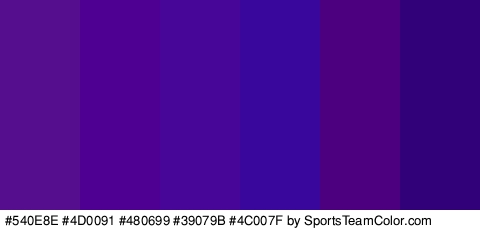 #540E8E #4D0091 #480699 #39079B #4C007F #31017A Colors