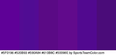 #5F0196 #520B93 #590A84 #610B8C #50098E #490B77 Colors