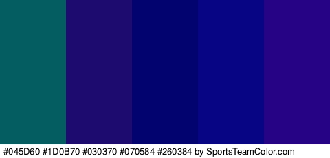 #045D60 #1D0B70 #030370 #070584 #260384 Colors