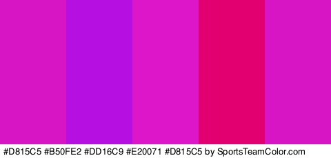 #D815C5 #B50FE2 #DD16C9 #E20071 #D815C5 Colors