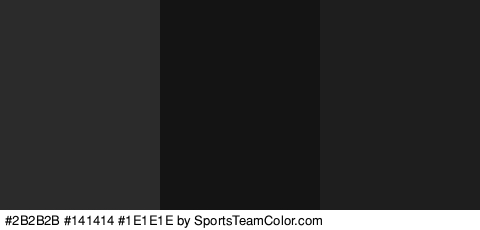 #2B2B2B #141414 #1E1E1E Colors