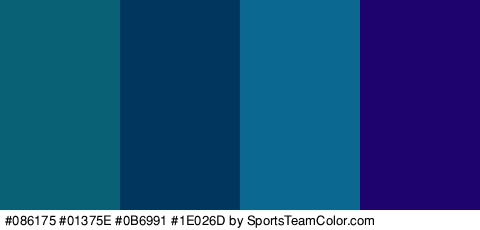 #086175 #01375E #0B6991 #1E026D Colors