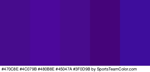 #470C8E #4C079B #480B8E #45047A #3F0D9B Colors