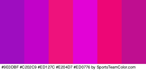 #9E0DBF #C202C9 #ED127C #E204D7 #ED0776 #BF0F90 Colors