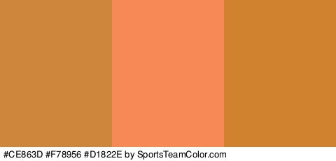 #CE863D #F78956 #D1822E Colors