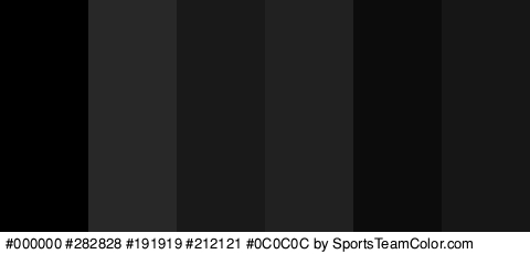 #000000 #282828 #191919 #212121 #0C0C0C #161616 Colors