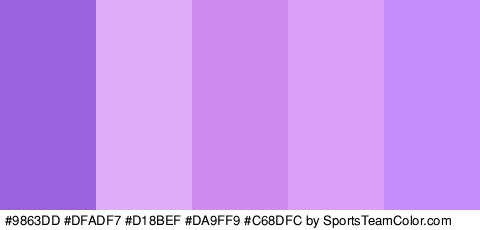 #9863DD #DFADF7 #D18BEF #DA9FF9 #C68DFC Colors