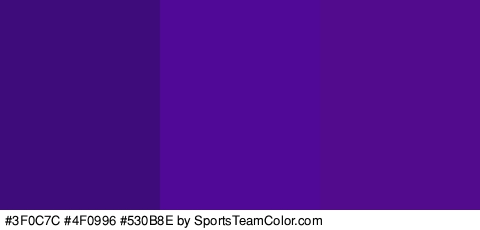 #3F0C7C #4F0996 #530B8E Colors