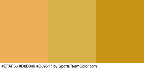 #EFAF56 #D8B049 #C69517 Colors