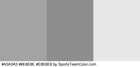 #A3A3A3 #8E8E8E #E8E8E8 Colors