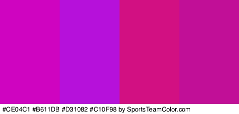 #CE04C1 #B611DB #D31082 #C10F98 Colors