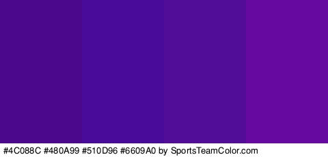 #4C088C #480A99 #510D96 #6609A0 Colors