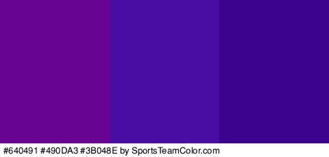 #640491 #490DA3 #3B048E Colors