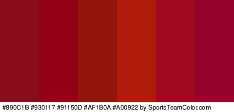 #890C1B #930117 #91150D #AF1B0A #A00922 #96042D Colors