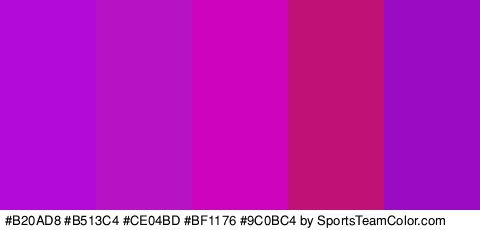 #B20AD8 #B513C4 #CE04BD #BF1176 #9C0BC4 Colors