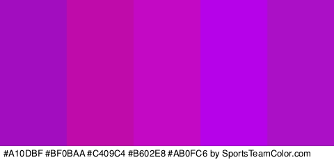 #A10DBF #BF0BAA #C409C4 #B602E8 #AB0FC6 Colors