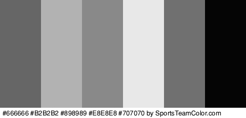 #666666 #B2B2B2 #898989 #E8E8E8 #707070 #050505 Colors