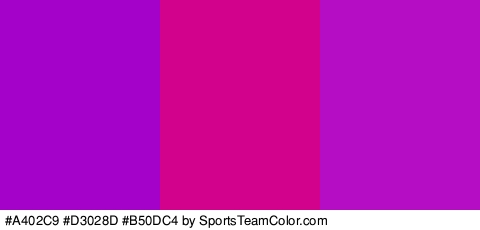 #A402C9 #D3028D #B50DC4 Colors