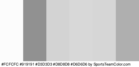 #FCFCFC #919191 #D3D3D3 #D8D8D8 #D6D6D6 #AFAFAF Colors