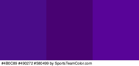 #4B0C89 #490272 #580499 Colors