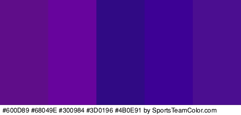 #600D89 #68049E #300984 #3D0196 #4B0E91 Colors