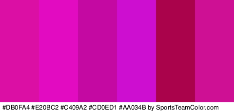 #DB0FA4 #E20BC2 #C409A2 #CD0ED1 #AA034B #CE1095 Colors