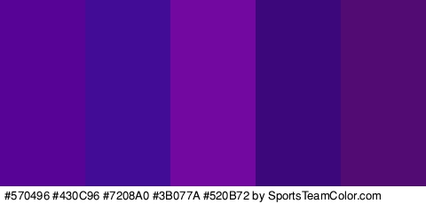 #570496 #430C96 #7208A0 #3B077A #520B72 Colors