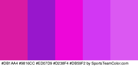 #DB1AA4 #9816CC #ED07D9 #D238F4 #DB59F2 Colors