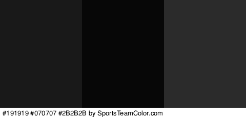 #191919 #070707 #2B2B2B Colors