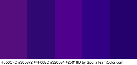 #550C7C #300872 #4F008C #320084 #25016D Colors